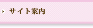 サイト案内